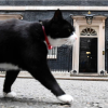 Palmerston